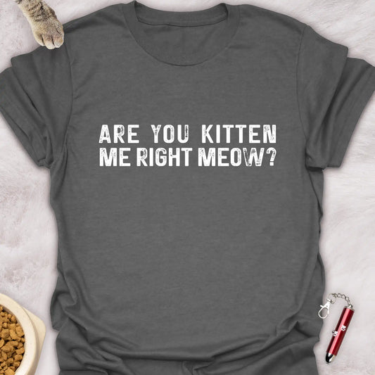 ARE YOU KITTEN ME RIGHT MEOW? VOL 2