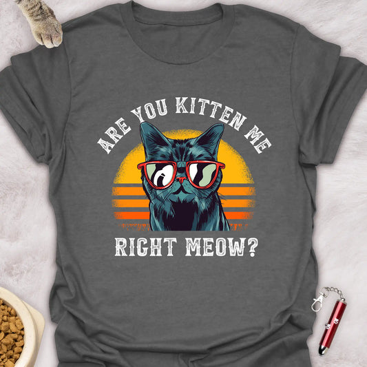 ARE YOU KITTEN ME RIGHT MEOW? VOL 7