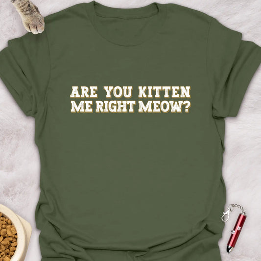 ARE YOU KITTEN ME RIGHT MEOW? VOL 1