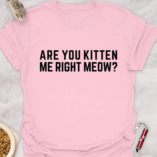 ARE YOU KITTEN ME RIGHT MEOW? VOL 4